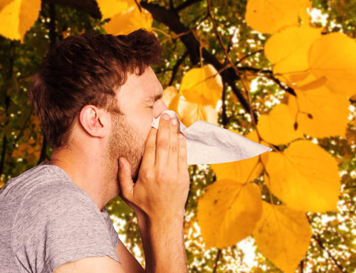 Coping with Fall Allergies? Check Out These Yard Work Tips