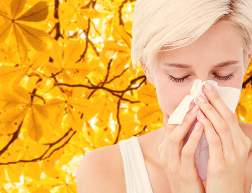 Fall Allergies: Fact or Fiction?