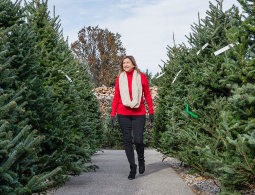 Unwrapping the Truth: Christmas Trees and Allergies