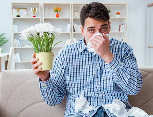 Allergy-Proofing Your Home: A Room-by-Room Guide