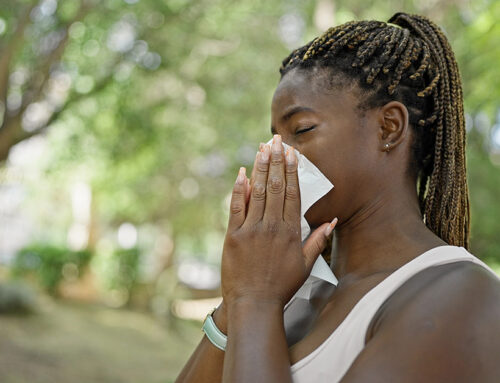 Managing Allergies in Baltimore This Spring and Summer
